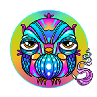 WOOP_WOOP币价格_WOOP最新价格_WOOP交易所