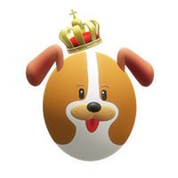 DogeZone|DGZ_DGZ价格_DGZ最新价格_DGZ交易所