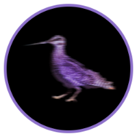 Solit|SLT_SLT价格_SLT最新价格_SLT交易所