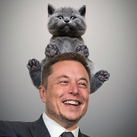 ELON CAT COIN|ELONCAT_ELONCAT价格_ELONCAT最新价格_ELONCAT交易所