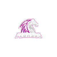 Pegasus PoW|$PGS_$PGS价格_$PGS最新价格_$PGS交易所