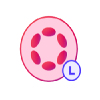 Liquid Staking Dot|LDOT_LDOT价格_LDOT最新价格_LDOT交易所