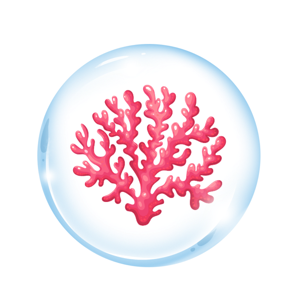 OceanPark|CORAL_CORAL价格_CORAL最新价格_CORAL交易所