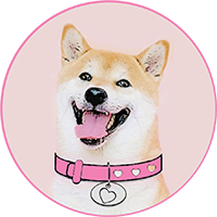 DogeGF|DOGEGF_DOGEGF价格_DOGEGF最新价格_DOGEGF交易所