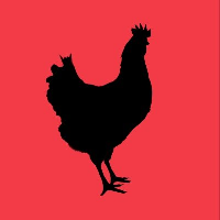 Chikn Egg|EGG_EGG价格_EGG最新价格_EGG交易所