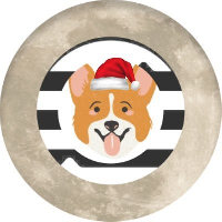 Doglaikacoin|DLC_DLC价格_DLC最新价格_DLC交易所