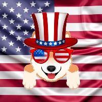 Shibmerican|SHIBMERICAN_SHIBMERICAN价格_SHIBMERICAN最新价格_SHIBMERICAN交易所