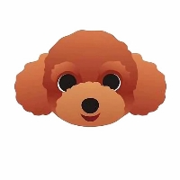 TeddyDog|TDG_TDG价格_TDG最新价格_TDG交易所
