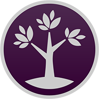 Global Funeral Care|GFCS_GFCS价格_GFCS最新价格_GFCS交易所