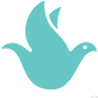WELL_WELL币价格_WELL最新价格_WELL交易所