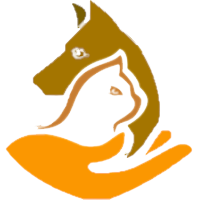 Cate-Shiba|CHIBA_CHIBA价格_CHIBA最新价格_CHIBA交易所