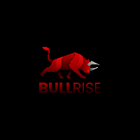 Bullrise|BULL_BULL价格_BULL最新价格_BULL交易所