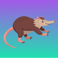 Solanadon|SLNDN_SLNDN价格_SLNDN最新价格_SLNDN交易所