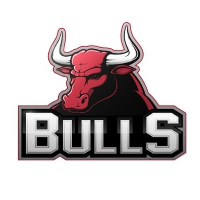 BULLS_BULLS币价格_BULLS最新价格_BULLS交易所